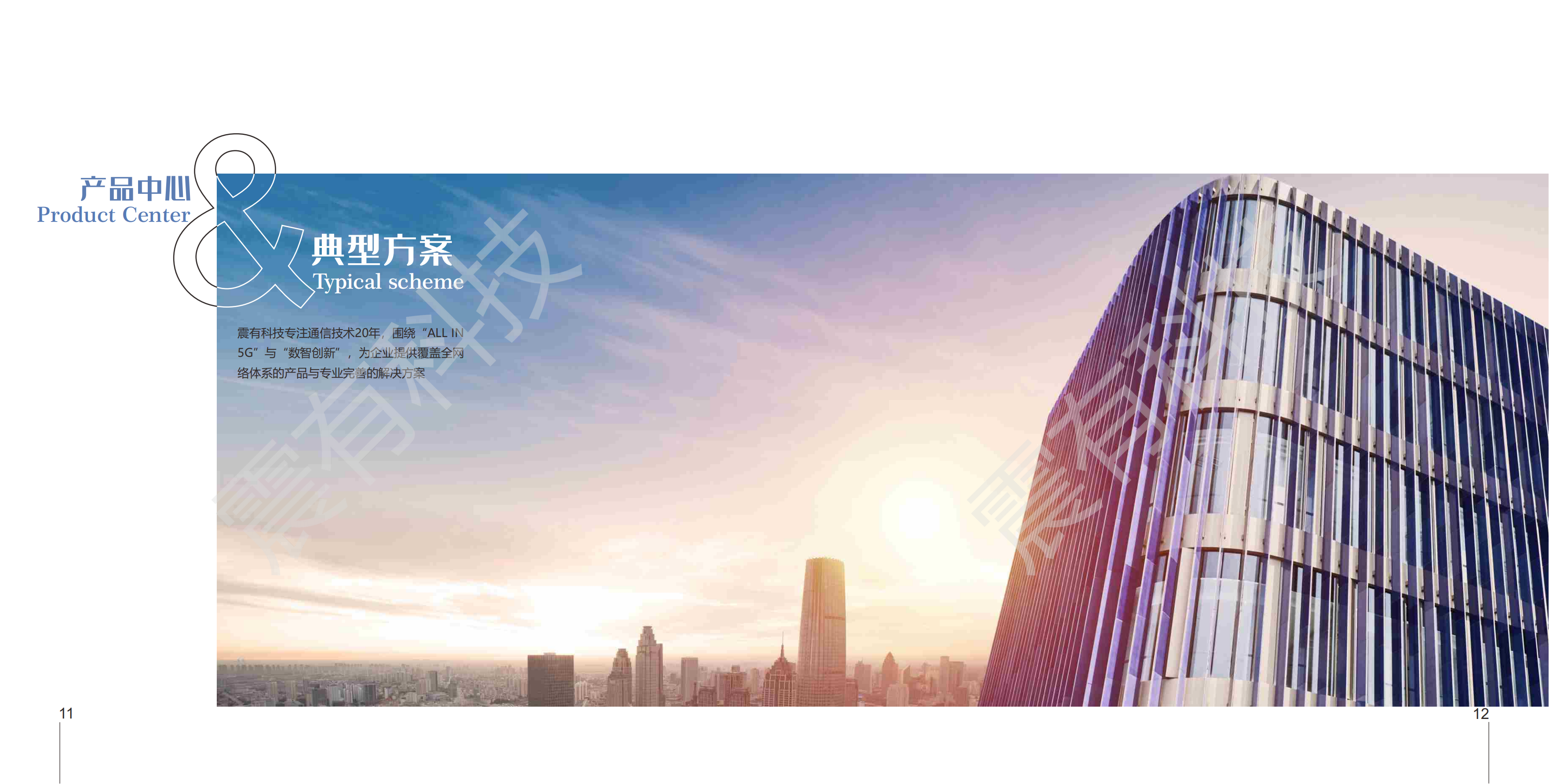 震有科技 公网整体介绍